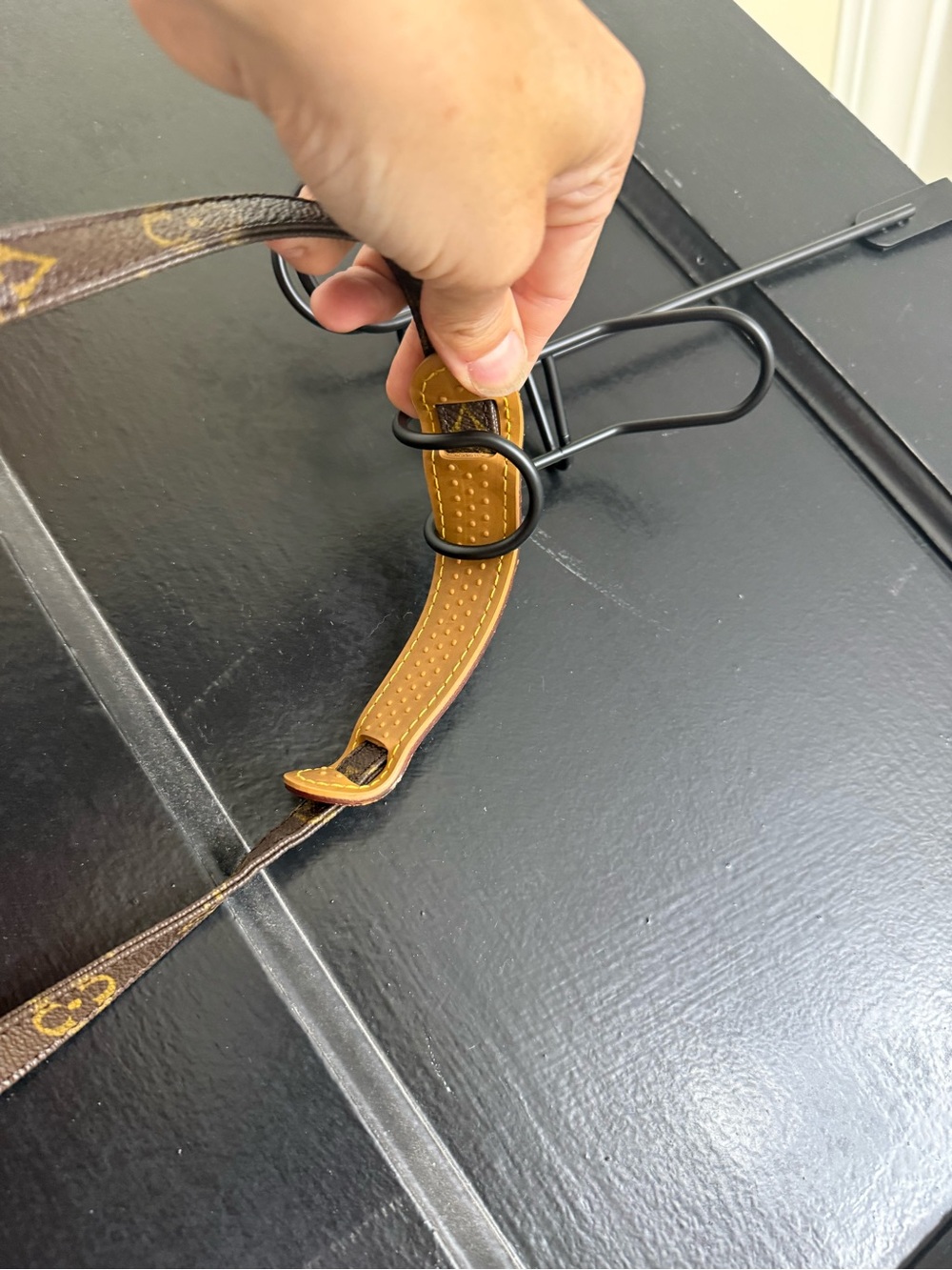 Louis Vuitton Amazon Monogram Crossbody Bag - Picture 11 of 11